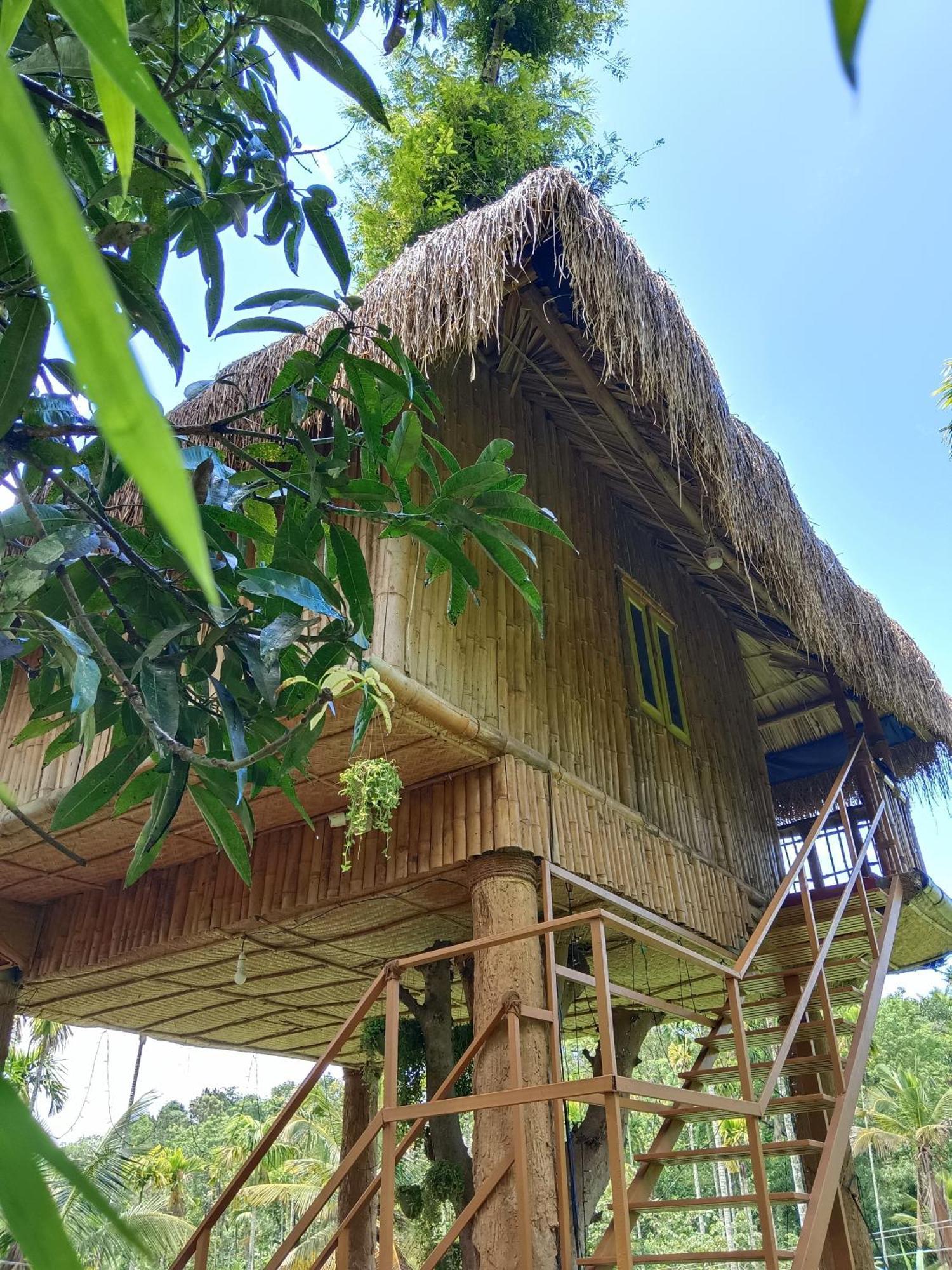 Kalidasa Tree House And Villa, Wayanad Chegāt 部屋 写真