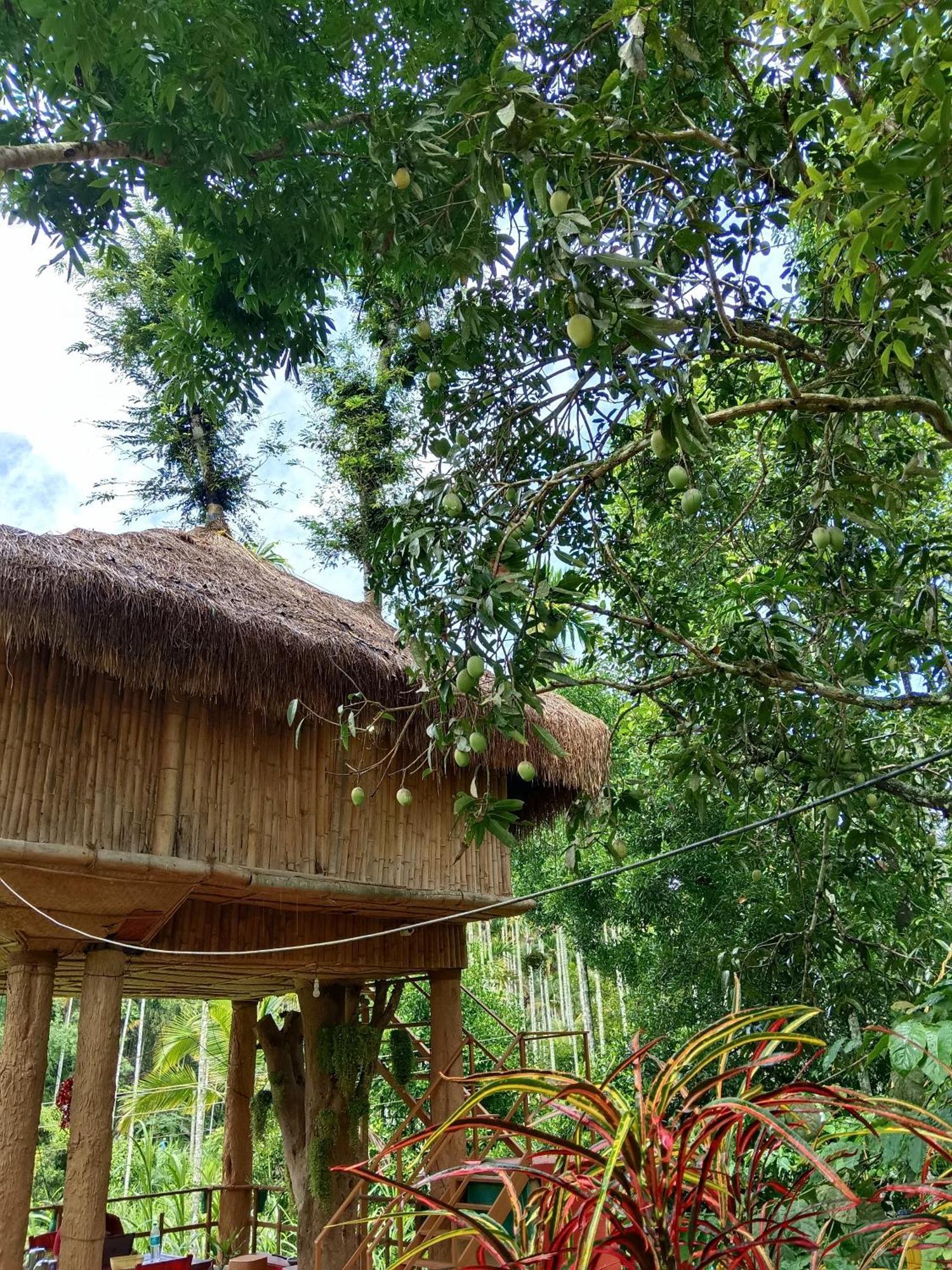 Kalidasa Tree House And Villa, Wayanad Chegāt 部屋 写真