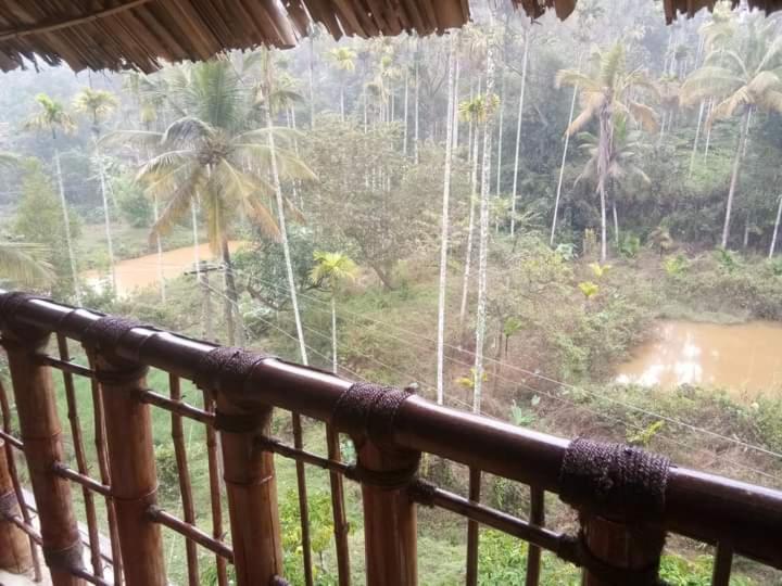 Kalidasa Tree House And Villa, Wayanad Chegāt 部屋 写真